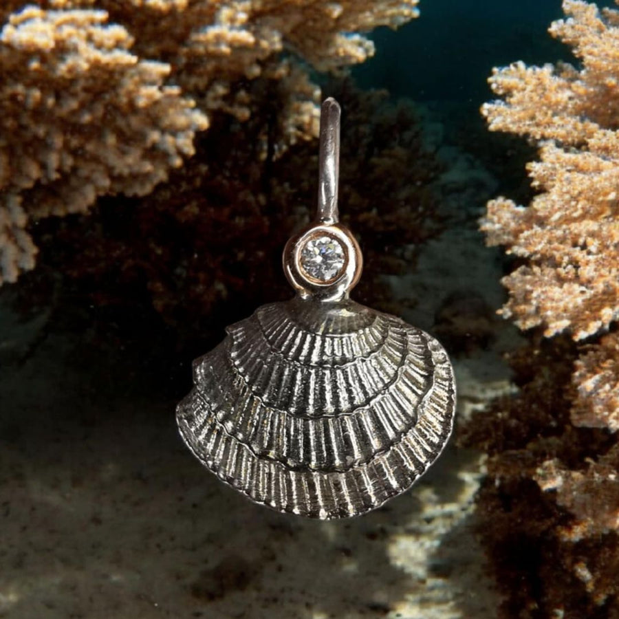 Ocean collection silver