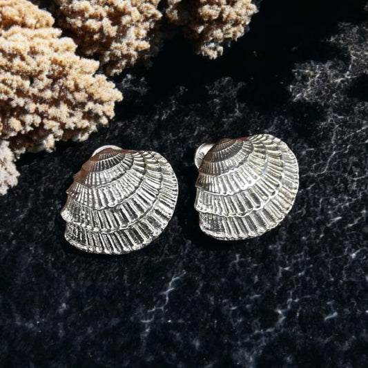 Silver Shell Earrings