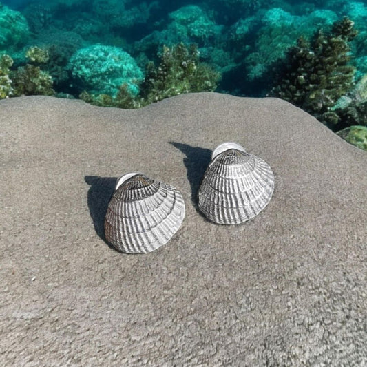 Silver Shell Earrings